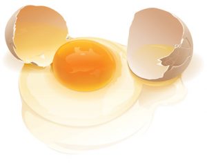 404_orchard_eggs